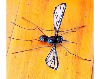 Big Magnetic Mosquito Model