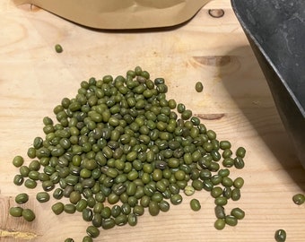 Mung Beans: Versatile Legume, 500 Grams, Canada