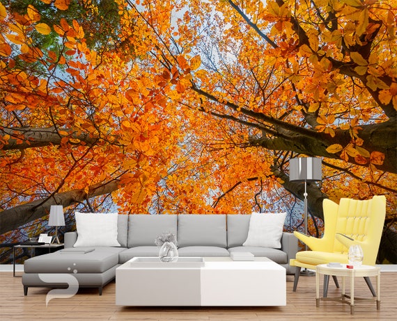 Autumn Treetop Wall Mural Autumn Forest Wallpaper Mural Etsy