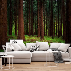 Mysterious Forest WALL MURAL, Forest Wallpaper, Mountain Forest Wall Mural, Large Mural, Forest Wall Decor, Removable Peel & Stick Mural