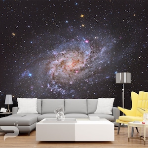 Spiral Galaxy WALL MURAL, Hubble Space Wall Covering, Galaxy Wall Art Print Poster, Removable and Reusable Wallpaper, Peel & Stick Mural