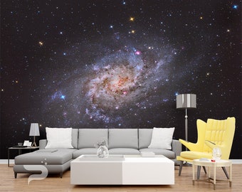 Spiral Galaxy WALL MURAL, Hubble Space Wall Covering, Galaxy Wall Art Print Poster, Removable and Reusable Wallpaper, Peel & Stick Mural