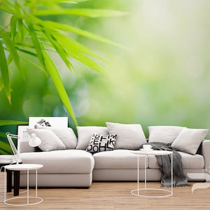 Zen MURAL, Green Bamboo Wallpaper, Bamboo Forest Wall Mural, Large Mural, Relax Meditaion Zen Wall Decor, Removable Peel & Stick Mural