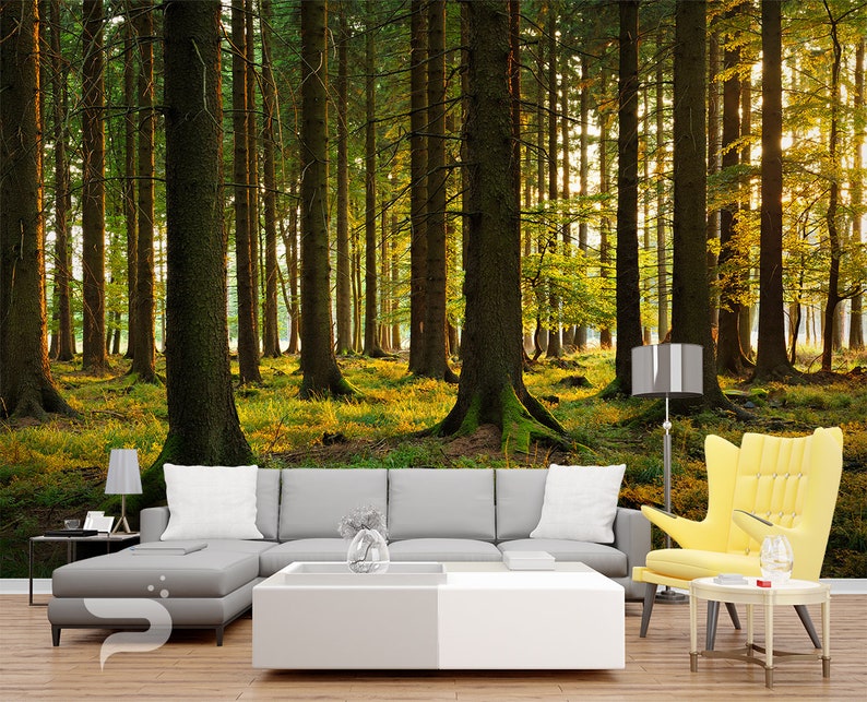 Removable Peel /& Stick Mural Autumn Forest WALL MURAL Sunrise Wall Decor Large Mural Forest Morning Wall Mural Poster Forest Wallpaper