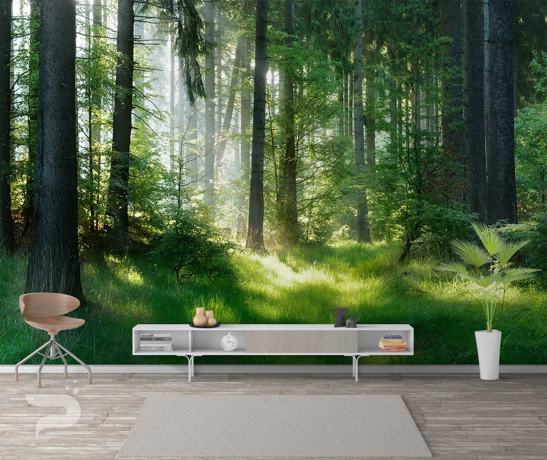 Green Forest WALL MURAL, Forest Wallpaper, Mountain Forest Wall Mural