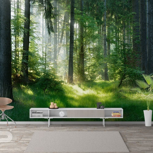 Forest Wall Mural Nature Removable Wallpaper Green Tree in - Etsy
