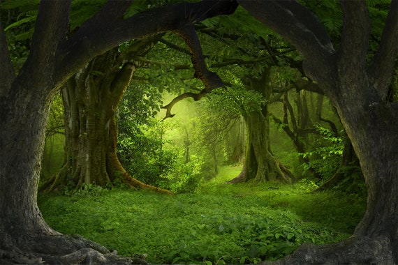 Mystical Forest Wall Mural Magical Forest Wallpaper Large Wall Mural Self Adhesive Peel Stick Photo Mural Green Forest Wall Covering