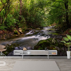 Forest Brook WALL MURAL, Green Forest Wallpaper, Forest River Wall Mural, Large Mural, Removable Self Adhesive Peel & Stick Mountain Mural