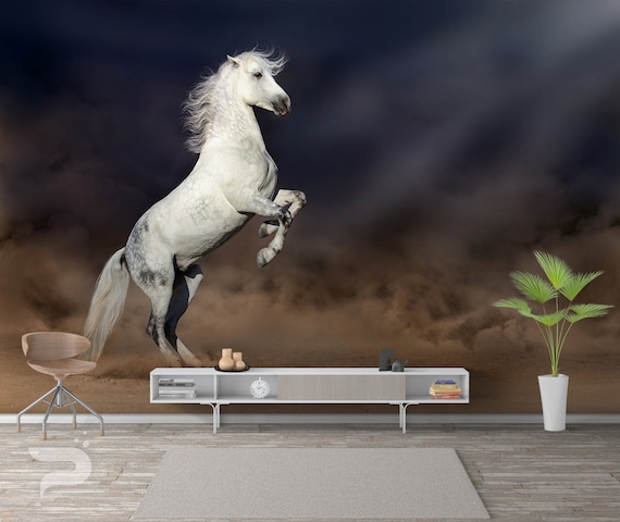White Horse Ultra HD Desktop Background Wallpaper for 4K UHD TV Widescreen UltraWide Desktop Laptop Multi Display Dual Monitor Tablet Smartphone