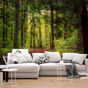 Forest Sunrays WALL MURAL, Forest Morning Wallpaper, Mountain Forest Wall Mural, Large Mural Forest Wall Decor, Removable Peel & Stick Mural