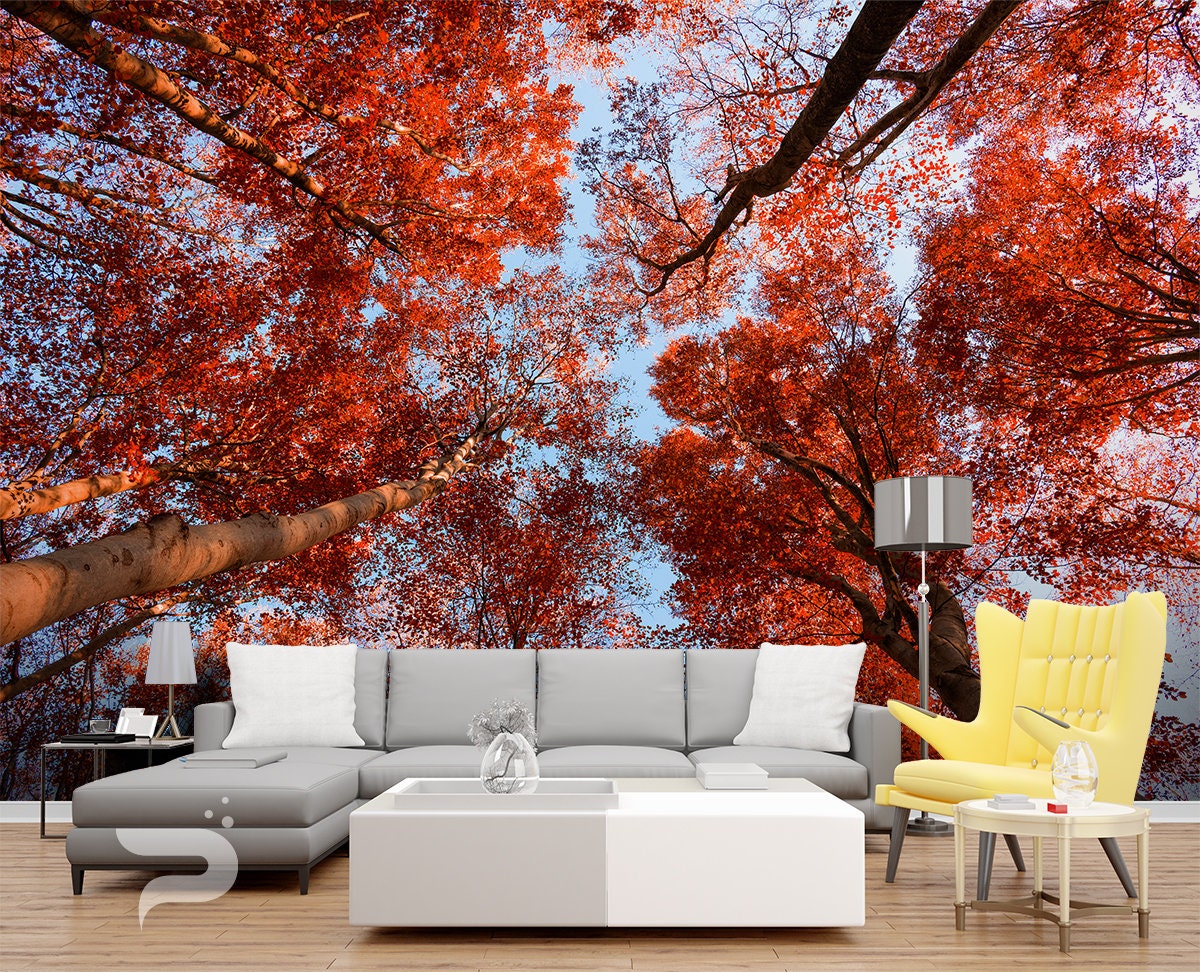 Autumn Treetop WALL MURAL Autumn Forest Wallpaper Mural Etsy