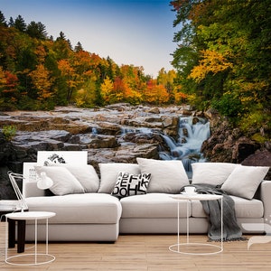 Autumn River WALL MURAL, Rocky River Wallpaper, Autumn Forest Wall Mural, Large Wall Mural, Removable Self Adhesive Peel & Stick Photo Mural
