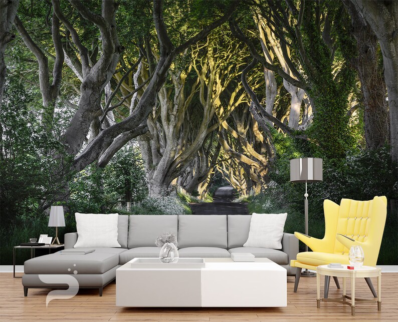 The Dark Hedges WALL MURAL Ireland Wall Covering Forest Wall Etsy