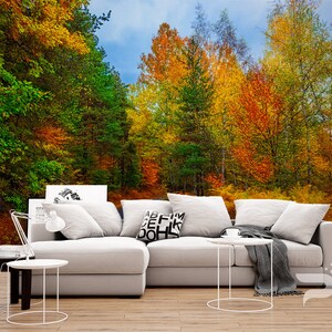 Autumn Forest WALL MURAL, Forest Road Wallpaper Mural, Large Wall Mural, Self Adhesive Peel & Stick Mural, Colorful Forest Wall Murals