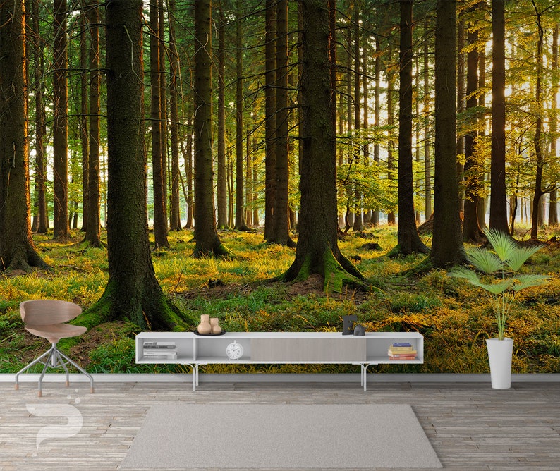 Removable Peel /& Stick Mural Autumn Forest WALL MURAL Sunrise Wall Decor Large Mural Forest Morning Wall Mural Poster Forest Wallpaper
