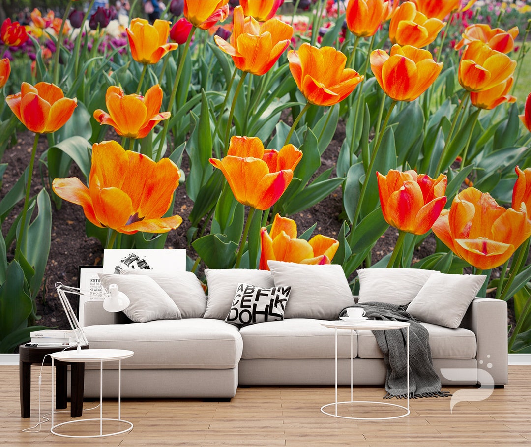 Orange Tulips WALL MURAL, Flowers Wallpaper Mural, Large Wall Mural