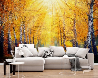 Autumn Sunrise WALL MURAL, Birch Forest Wallpaper, Large Wall Mural, Self Adhesive Peel & Stick Photo Mural, Colorful Sunrise Wall Covering