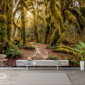Forgotten Path WALL MURAL, Forest Wallpaper, Jungle Rainforest Wall Mural, Grande murale, Amovible Self Adhesive Peel & Stick Photo Mural