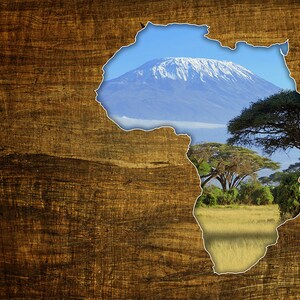 Africa Dreaming WALL MURAL, Abstract Wall Covering, Mount Kilimandjaro Wall Art Print Poster, Removable Peel & Stick Wallpaper, Forest Mural image 4