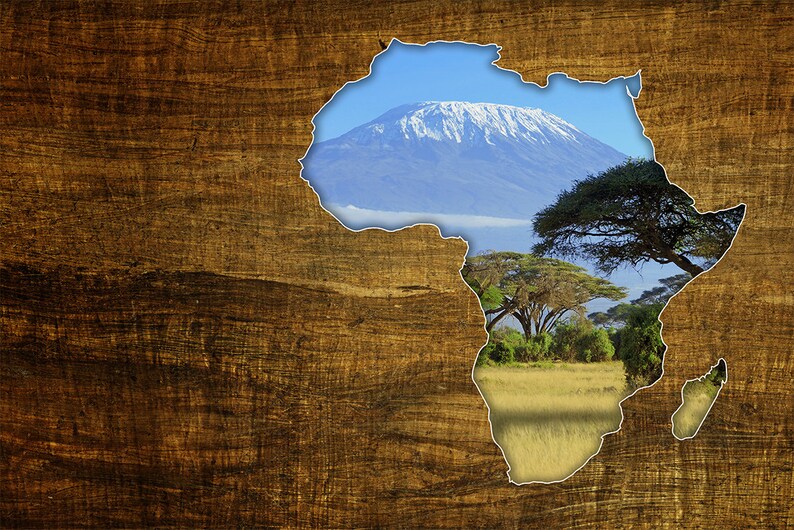 Africa Dreaming WALL MURAL, Abstract Wall Covering, Mount Kilimandjaro Wall Art Print Poster, Removable Peel & Stick Wallpaper, Forest Mural image 4