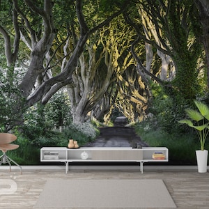 The Dark Hedges WALL MURAL, Ireland Wall Covering, Forest Wall Art Print Poster, Removable and Reusable, Peel & Stick Wallpaper Mural