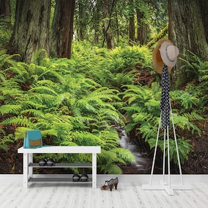 Forest Brook WALLPAPER MURAL, Redwood Wall Mural, Large Wall Mural, Self Adhesive Peel & Stick Mural, Green Fern Forest Wall Covering