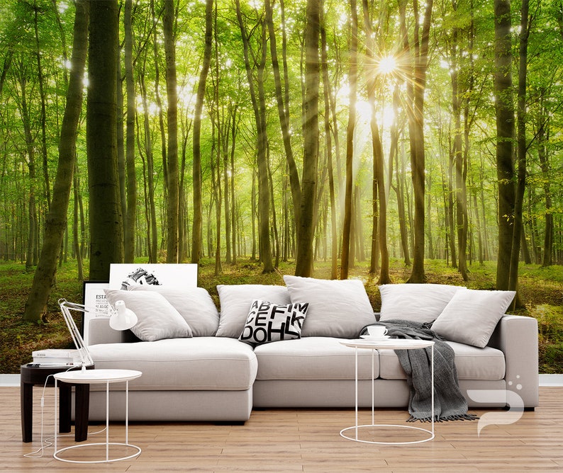 Forest Sunrays WALL MURAL Green Trees Wallpaper Large Wall Mural Self Adhesive Peel /& Stick Photo Mural Forest Morning Wall Covering