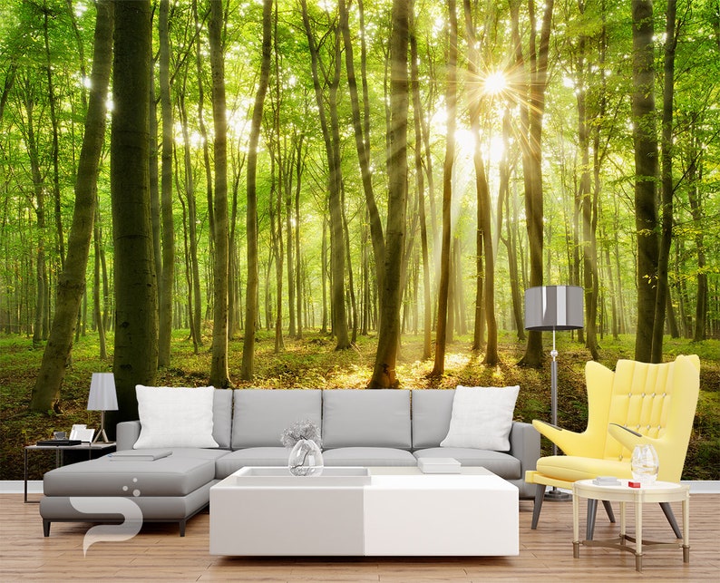 Forest Sunrays WALL MURAL Green Trees Wallpaper Large Wall Etsy