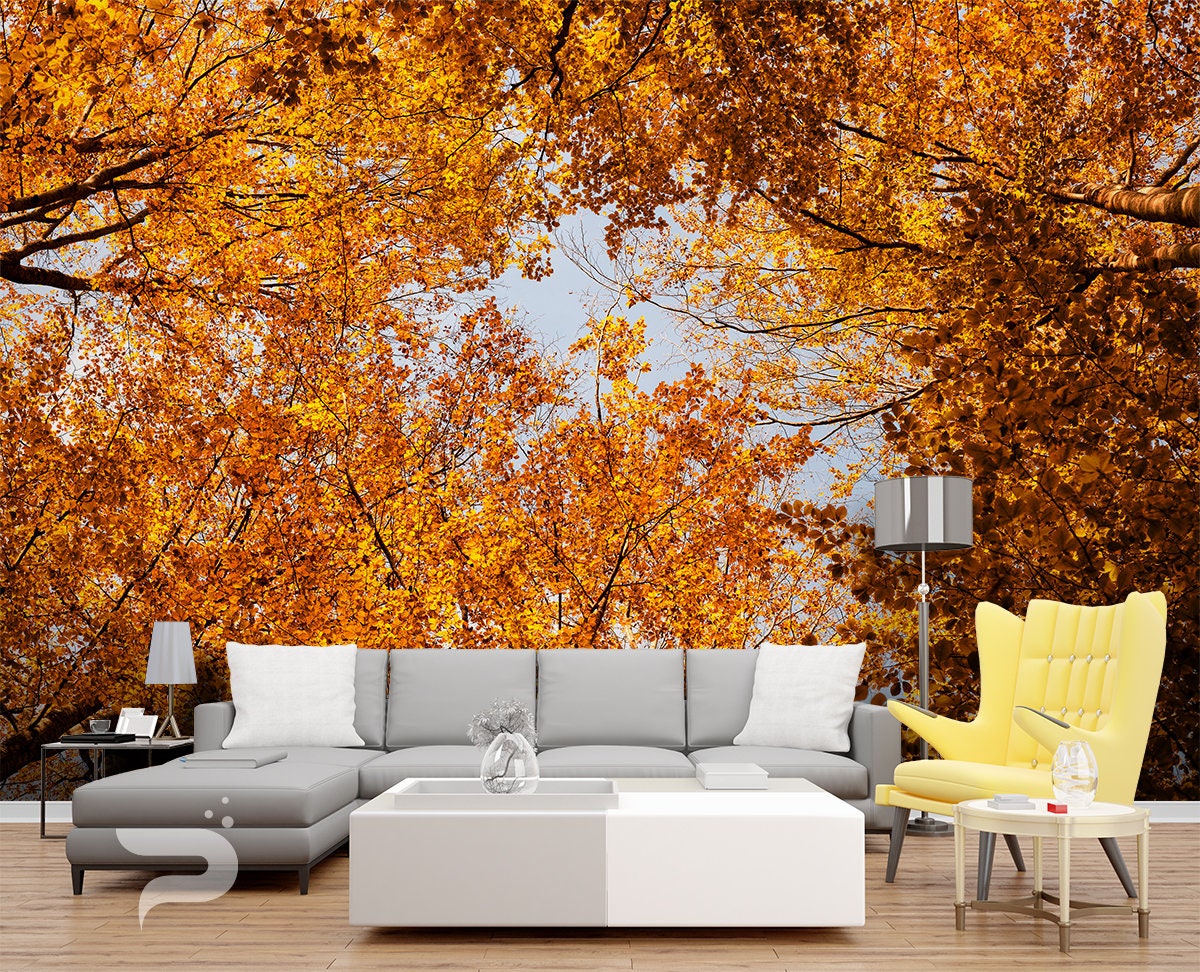 Autumn Treetop WALL MURAL Autumn Forest Wallpaper Mural Etsy
