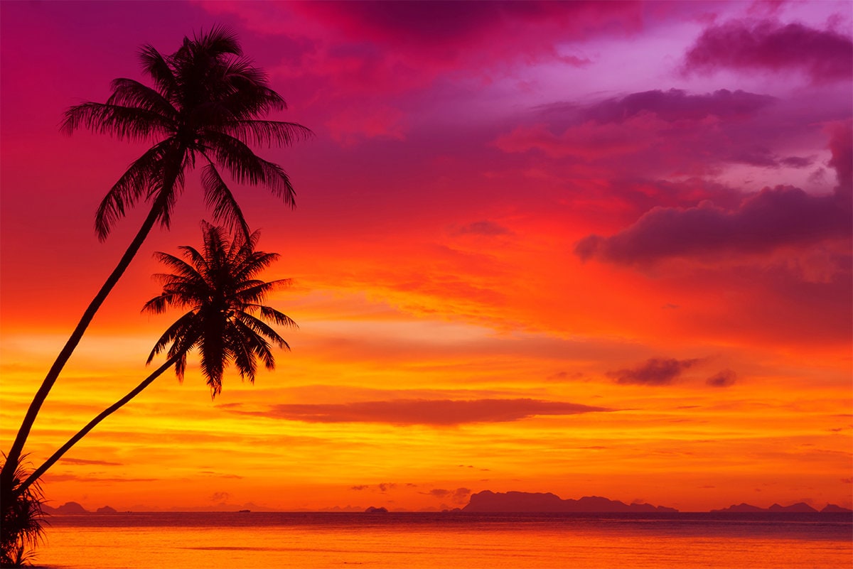 tropical sunset wallpaper