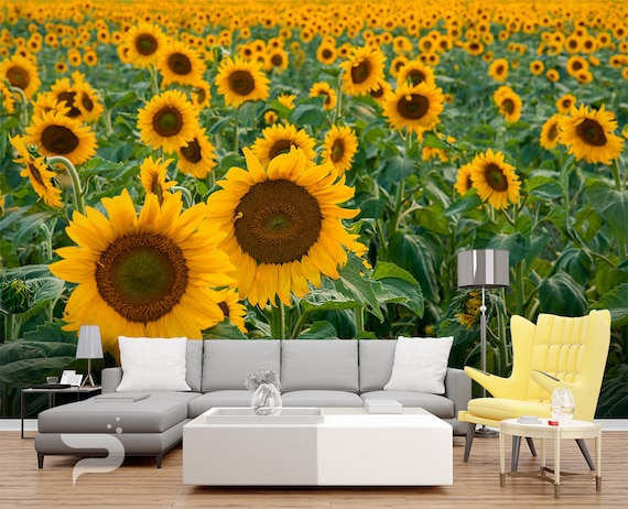 Mural de pared de girasol Mural de papel tapiz de campo de - Etsy España