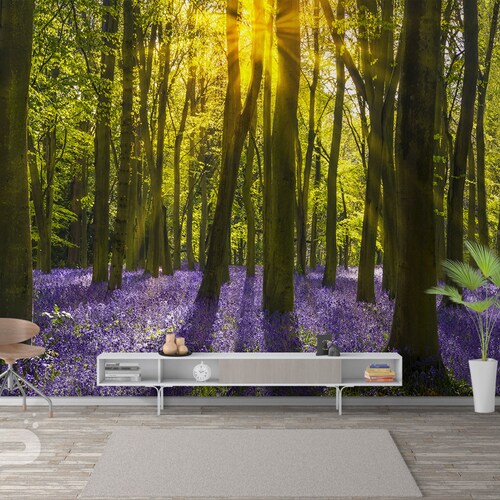 Forest Sunrise WALL MURAL Self Adhesive Peel & Stick Photo Etsy