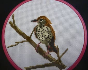 Wood Thrush Cross Stitch Pattern