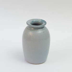 Pu&ograve; includere: Un vaso in ceramica blu chiaro con corpo arrotondato e apertura leggermente svasata. Il vaso ha una smaltatura macchiettata e un bordo blu sottile.
