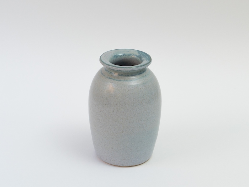 Pu&ograve; includere: Un vaso in ceramica blu chiaro con corpo arrotondato e apertura leggermente svasata. Il vaso ha una smaltatura macchiettata e un bordo blu sottile.