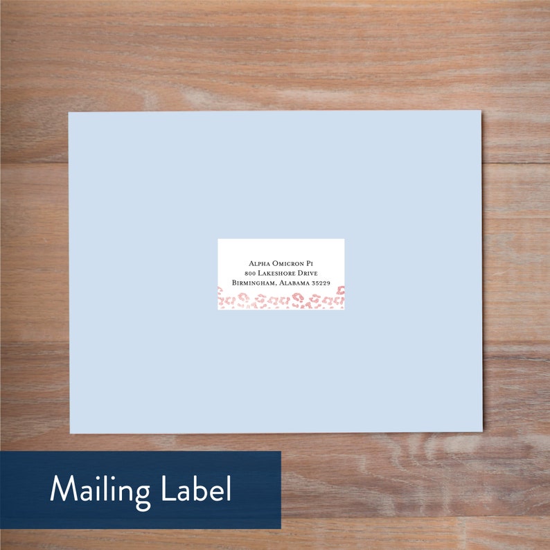 May include: A light blue mailing label with a white address label. The address reads: Alpha Omicron Pi, 800 Lakeshore Drive, Birmingham, Alabama 35229. The label is decorated with a pink and white floral border.