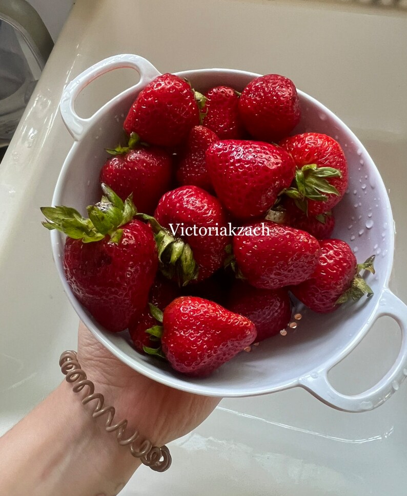 200 Strawberry SEEDS Garden Fruit Berries Homegrown Perenial