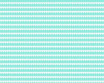 A Little Sweetness by Tasha Noel for Riley Blake - Aqua/Cotton/Sewing/Quilting/Modern Quilt/Half Yard/Full Yard/Out of Print Fabric