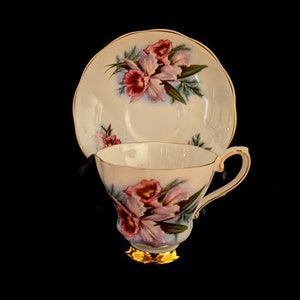 Royal Grafton Fine Bone China Tea Cup and Saucer FREE SHIPPING