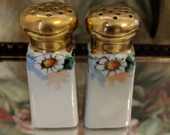 Lovely Vintage Hand Painted Salt And Pepper Shakers
