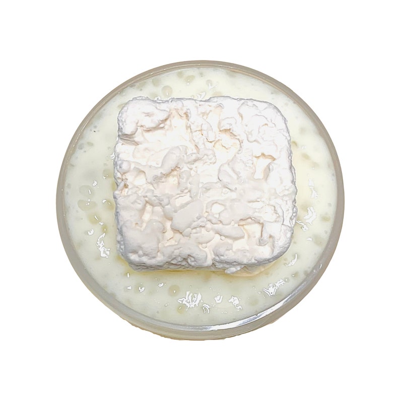 May include: A white, fluffy, square-shaped marshmallow sits on top of a clear glass bowl filled with a white, creamy liquid.