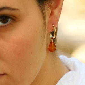 Gold-Filled Carnelian Teardrop Dangle Earrings