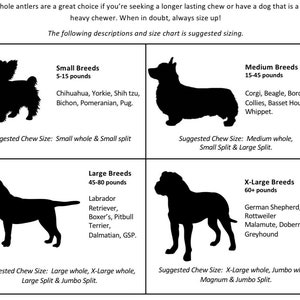 May include: A dog chew size chart with silhouettes of dogs categorized by breed size: small, medium, large, and x-large. Each section lists dog breeds and suggested chew sizes, including whole and split options, based on weight in pounds.