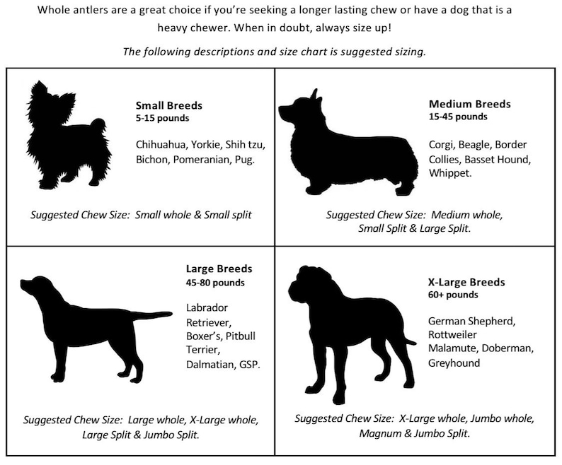 May include: A dog chew size chart with silhouettes of dogs categorized by breed size: small, medium, large, and x-large. Each section lists dog breeds and suggested chew sizes, including whole and split options, based on weight in pounds.