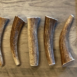 Medium Elk/Deer Premium Antler Dog Chew (1pc) **Oregon Antler Works**