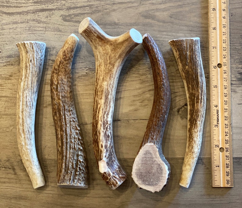 LARGE Elk\/Deer Premium Antler Dog Chew (1 pc) **Oregon Antler Works**