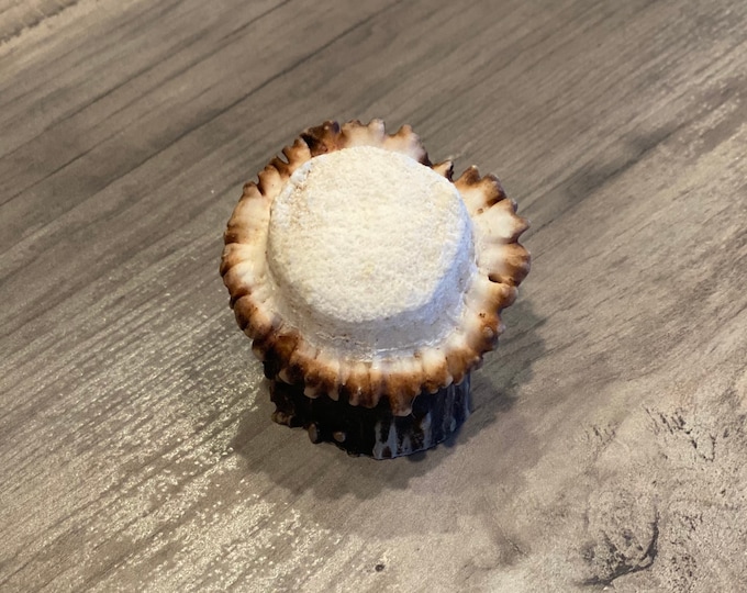 Deer Elk ANTLERS ANTLER Handle Drawer Pull Knob Cabinet Rustic Animal