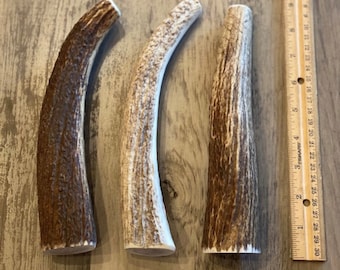 X-Large Elk/Deer Premium Antler Dog Chews **Oregon Antler Works** (Please Read Description for Package Details)