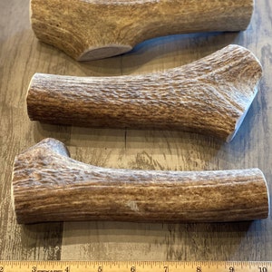 May include: Three natural antler dog chews of varying sizes, with the largest chew measuring approximately 7 inches long. The chews are light brown with a rough, textured surface.
