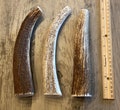 3 Pack X-Large Elk/Deer Premium Antler Dog Chews **Oregon Antler Works**